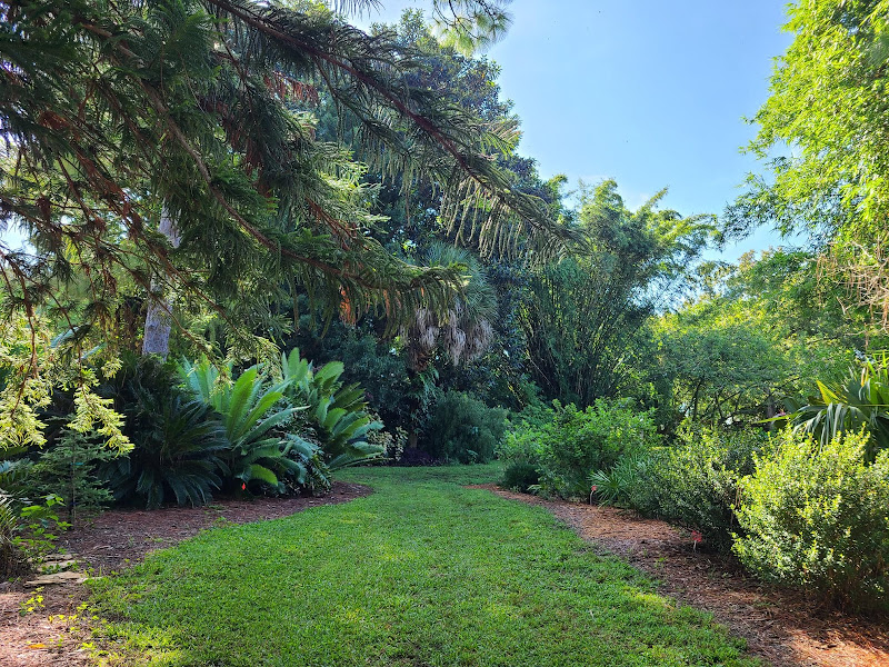 USF Botanical Gardens - Tourist attraction in Tampa