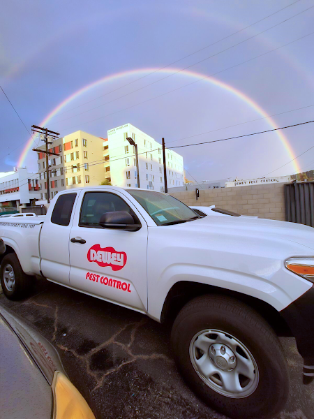 Dewey Pest & Termite Control