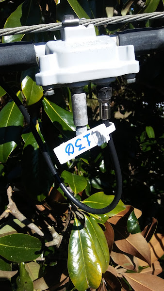 Pensacola Music Matters