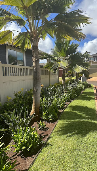 Oceanic Landscaping - Landscaper in Honolulu
