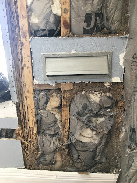 Zhang Pest Control New Orleans