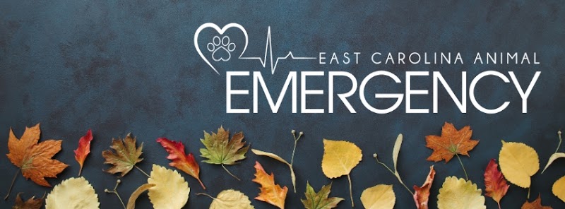 East Carolina Animal Emergency - Veterinarian in Elizabeth City