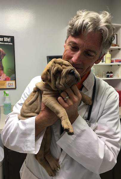 Pine Castle Animal Clinic