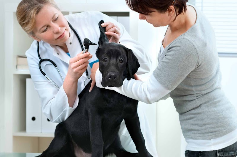 MaxFund Veterinary Clinic - Veterinarian in Denver