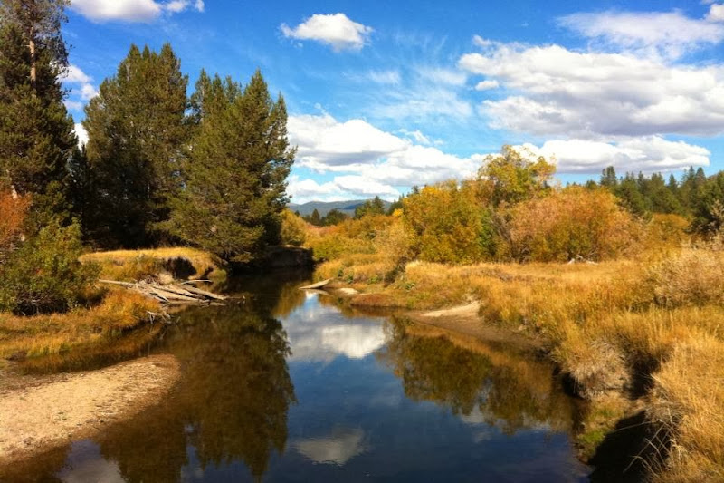 Mountain Meadow Chiropractic