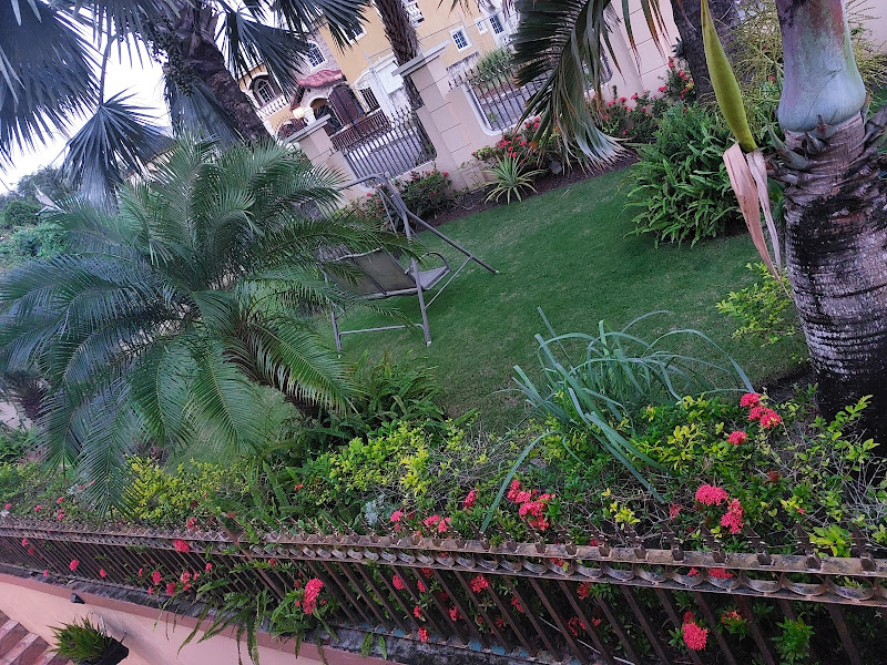 The Palms of Montego Bay - Real estate rental agency in 415 Valley View Dr