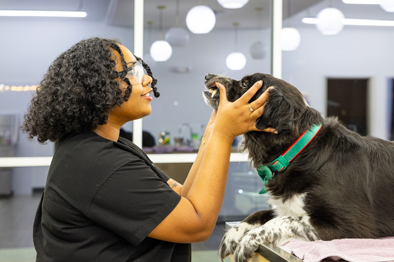Honnas Veterinary