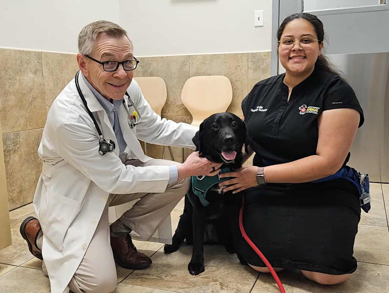 Temple Terrace Animal Hospital