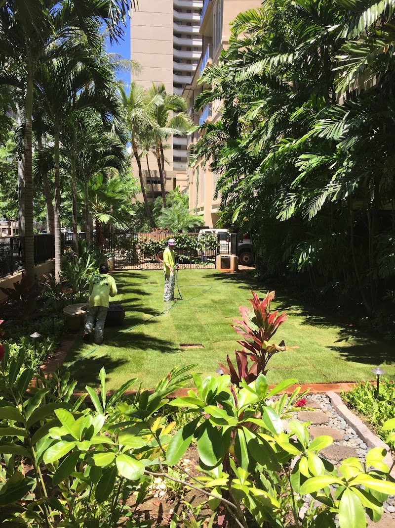 Hawaiian Turfgrass - Sod supplier in Mililani
