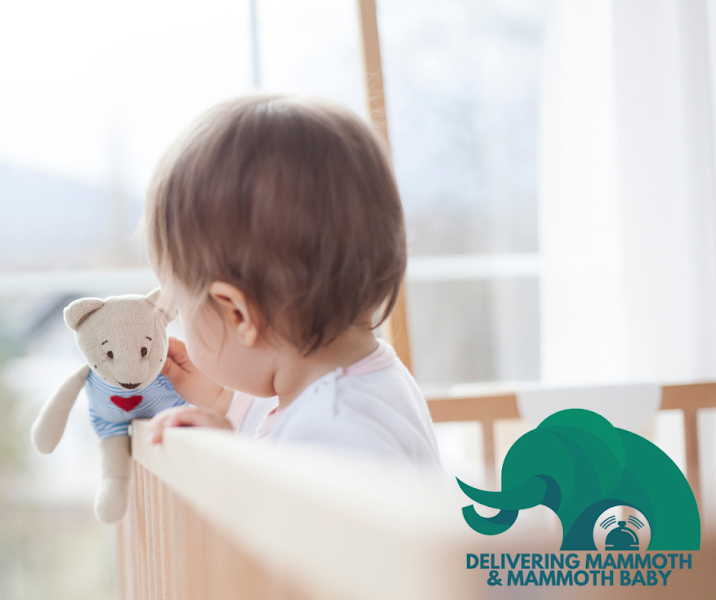 Mammoth Baby & Delivering Mammoth - Equipment rental agency in 455 Lakeview Blvd