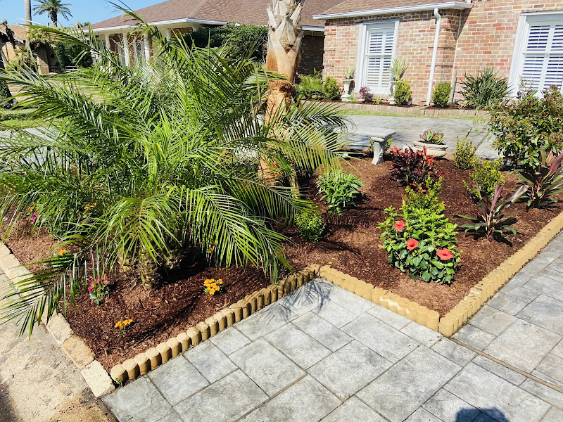 BTLS Galveston - Lawn Service
