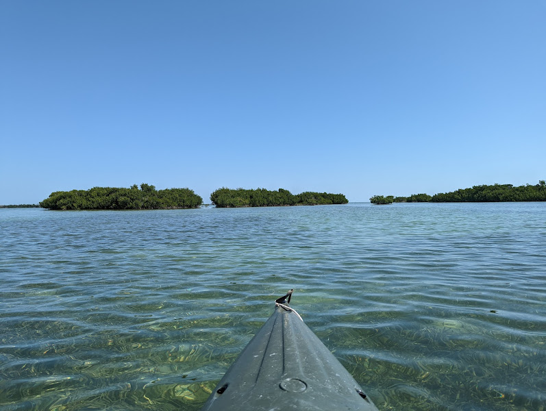 Blue Planet Kayak Eco-Tours