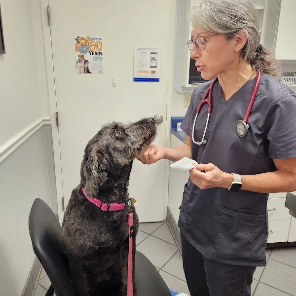 East Brainerd Animal Hospital - Veterinarian in Chattanooga
