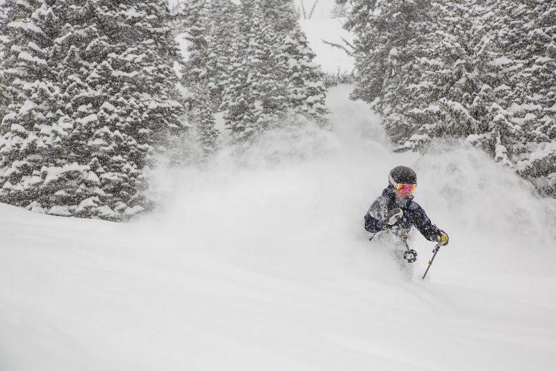 Alpine Orthopedics and Sports Medicine photo