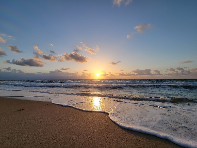 Earl Lifshey Ocean Park photo