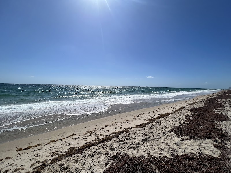 Earl Lifshey Ocean Park photo