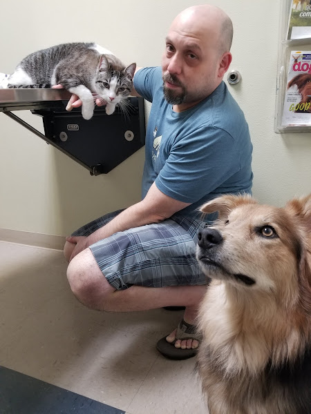 Sunset Point Animal Hospital