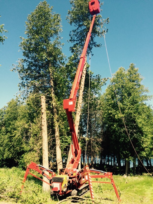 Townline Timber Services LLC - Tree service in Sister Bay