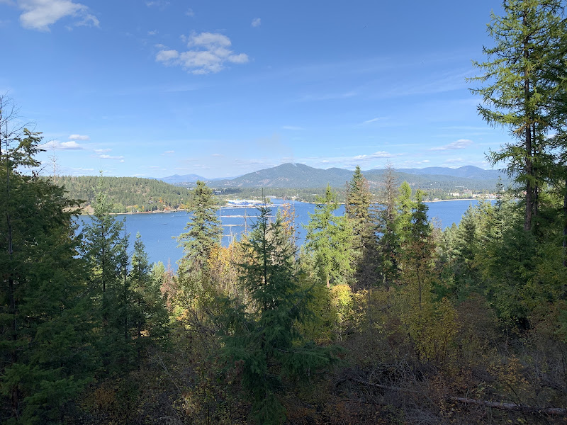 Cougar Bay