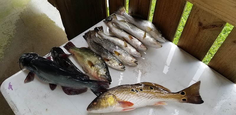 South Shore Bait & Marina