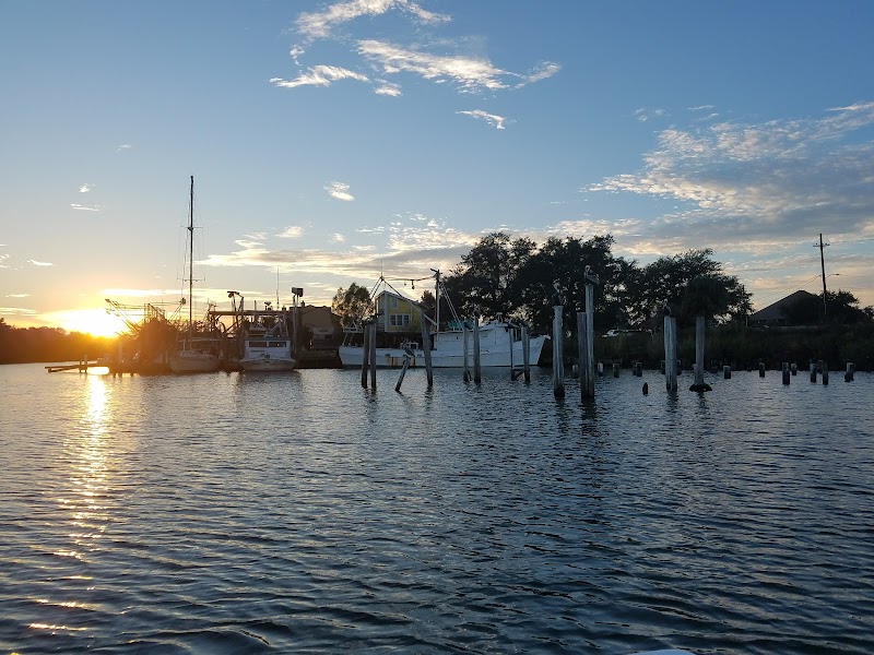 South Shore Bait & Marina photo