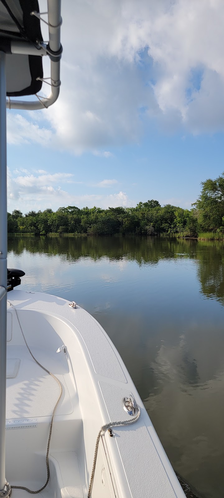 South Shore Bait & Marina photo