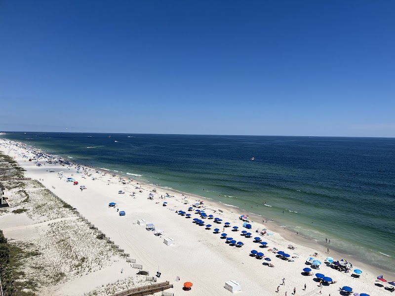 Liquid Life Vacation Rentals photo