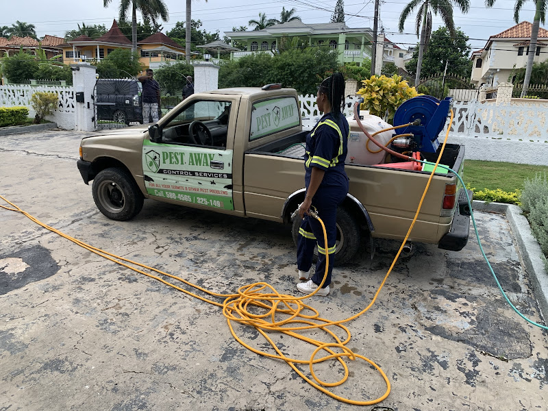 Pest Away Control Services - Pest control service in Montego Bay