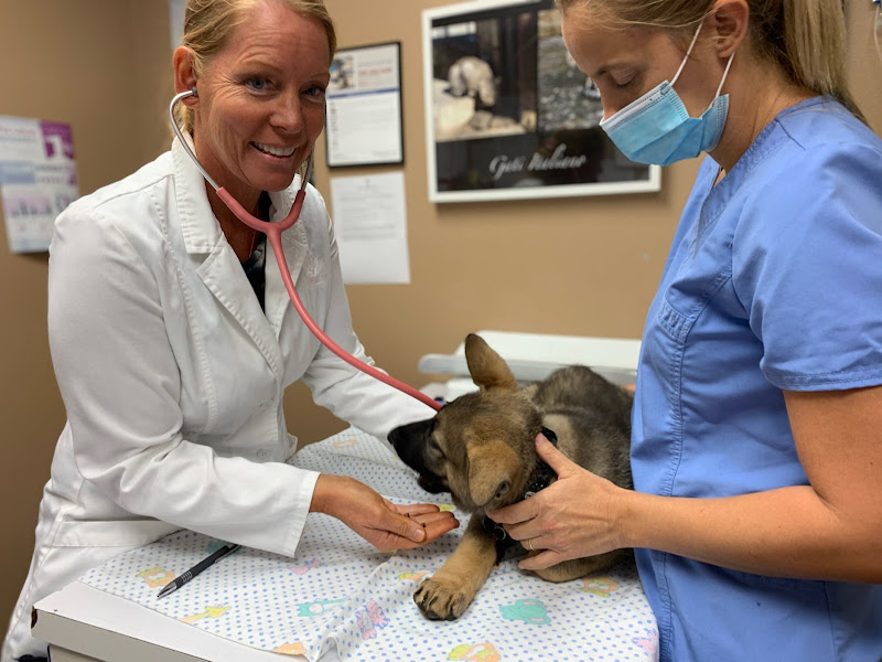 Animal Clinic of Mandarin