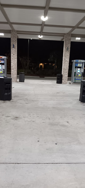 Sea Turtle Marketplace