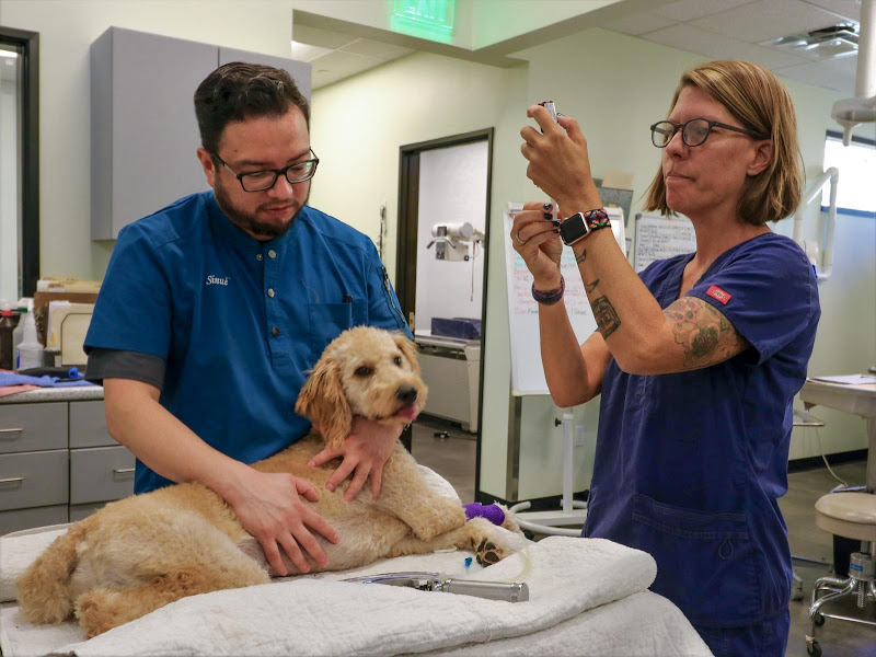 Oak Creek Small Animal Clinic