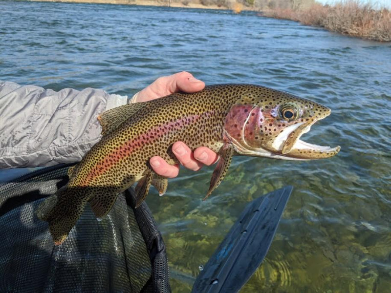 Orvis Northwest Outfitters - Fishing store in Coeur d'Alene
