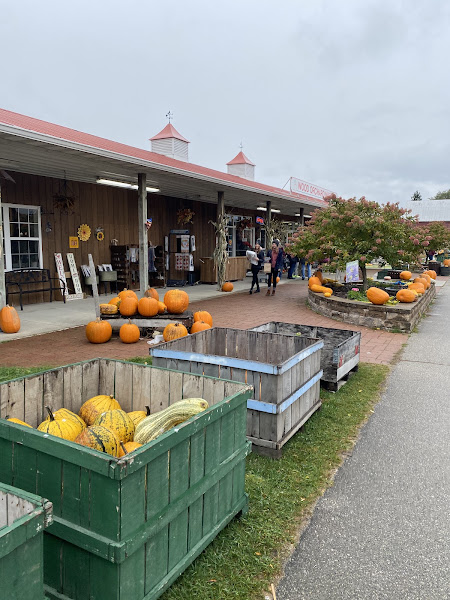 Wood Orchard - Produce market in Sturgeon Bay