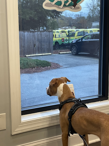 Brigdon Animal Hospital