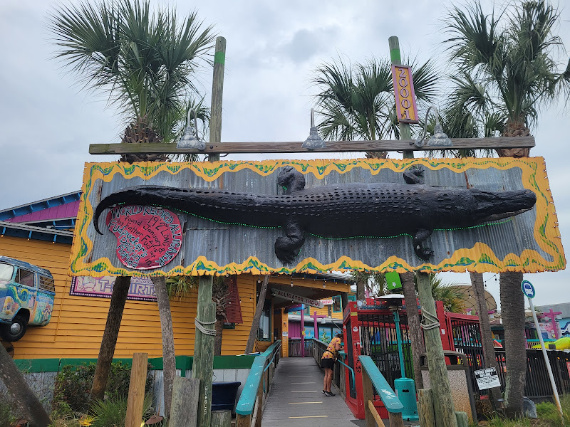 Gator Beach - The World's Greatest Alligator Park - Tourist attraction in Destin