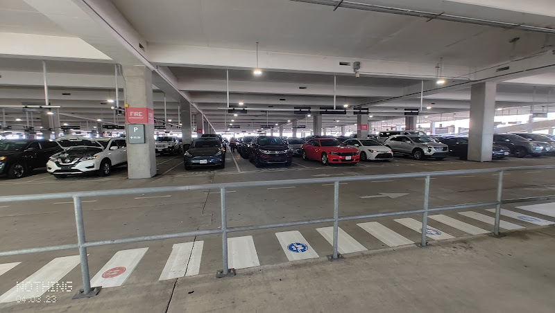 Avis Car Rental