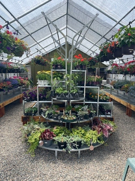 native eco systems, inc - Garden center in Steamboat Springs