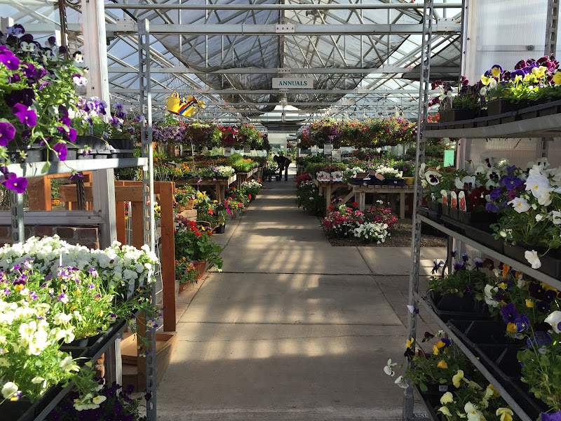 Cashman Nursery