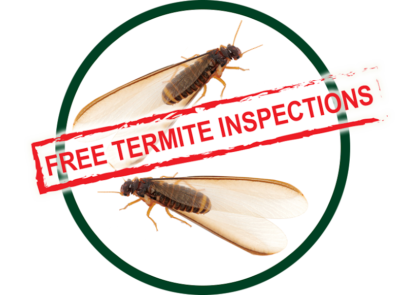 Kilter Termite and Pest Control