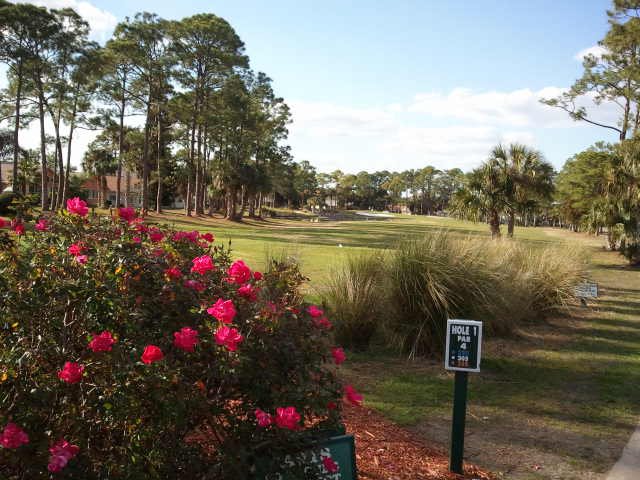Hidden Lakes Golf Club - Public golf course in New Smyrna Beach