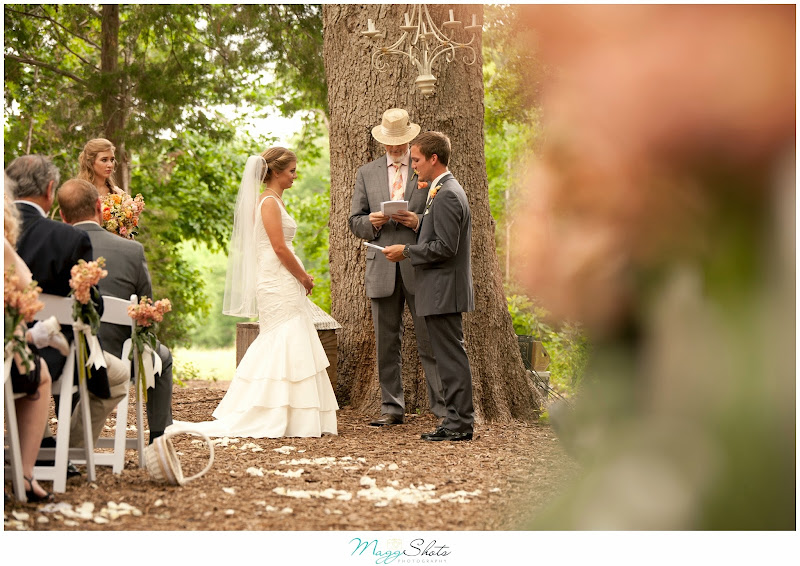 MaggShots Photography - Photographer in Aspen