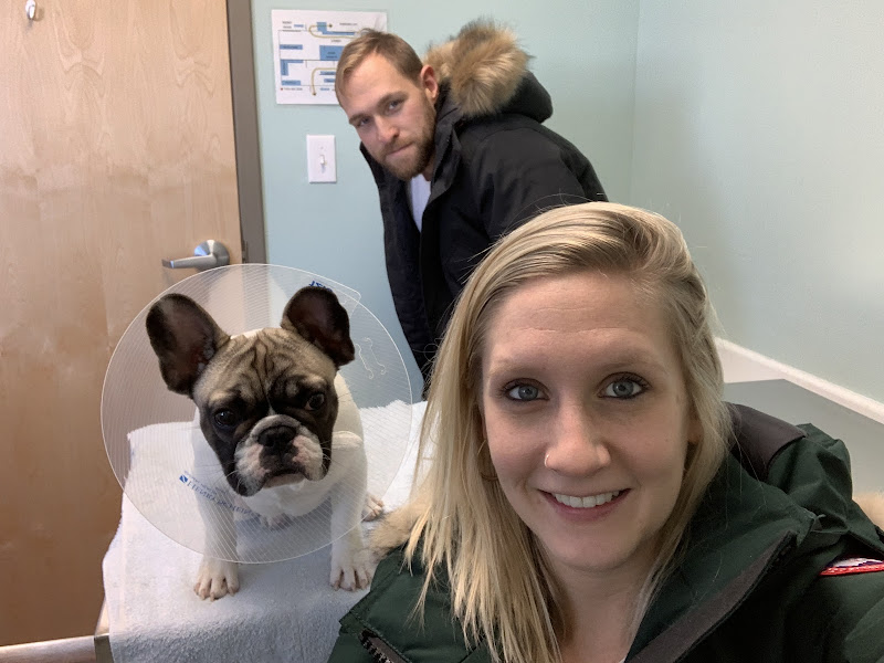 Brackett Street Veterinary Clinic