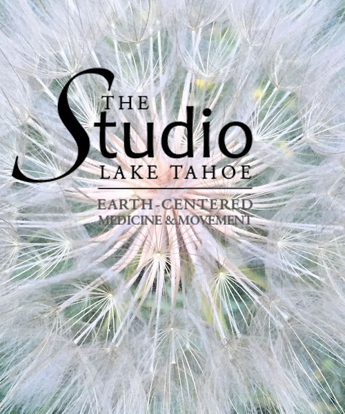 The Studio Lake Tahoe