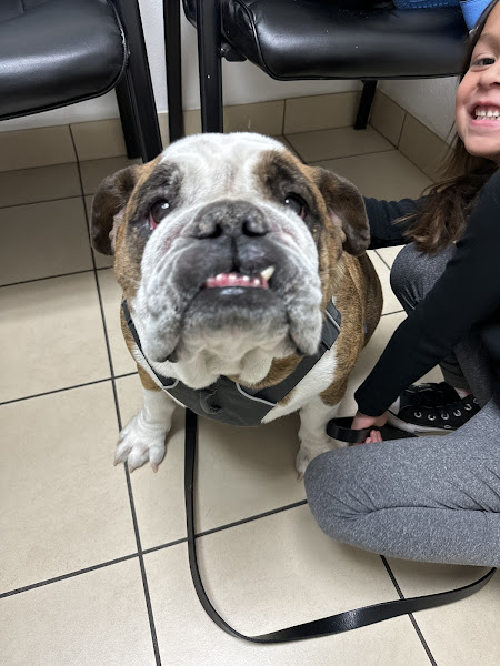 West Phoenix Veterinary Hospital