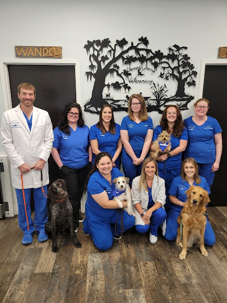 Clements Ferry Veterinary - Veterinarian in Charleston