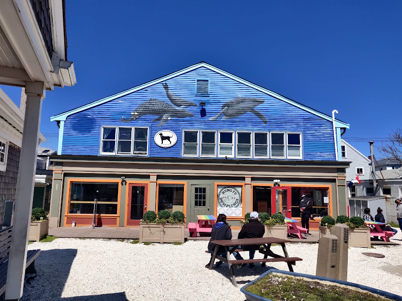 Dolphin Fleet Whale Watch - Whale watching tour agency in Provincetown