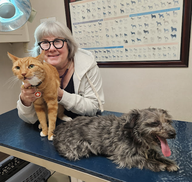 Casa Linda Animal Clinic