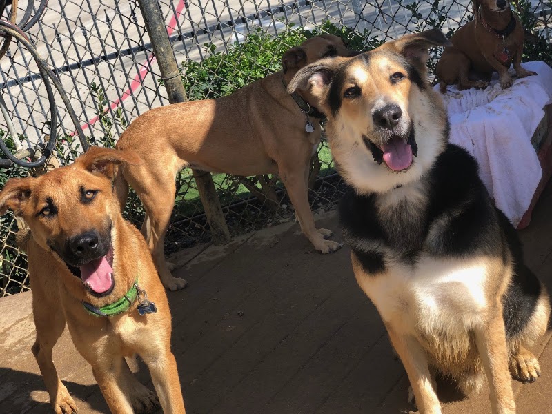 East Lake Veterinary Hospital photo