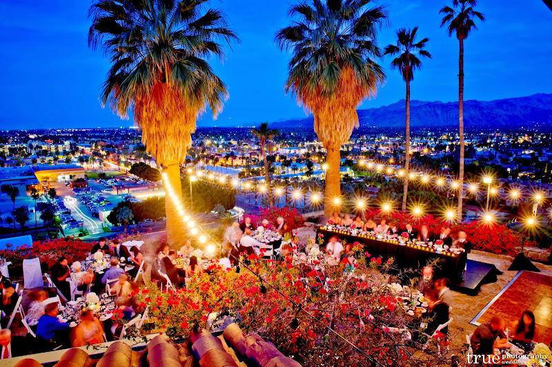 The O'Donnell House at the Willows - Hotel in Palm Springs