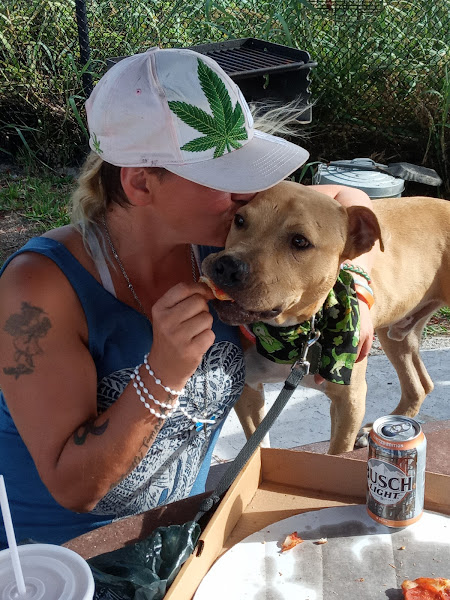 Florida Keys SPCA, Inc. - Animal shelter in Key West